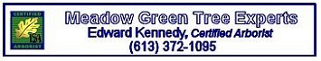 Edward Kennedy Tree Experts